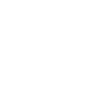 SINGI CARE Web Maintenance & Consultation Service
